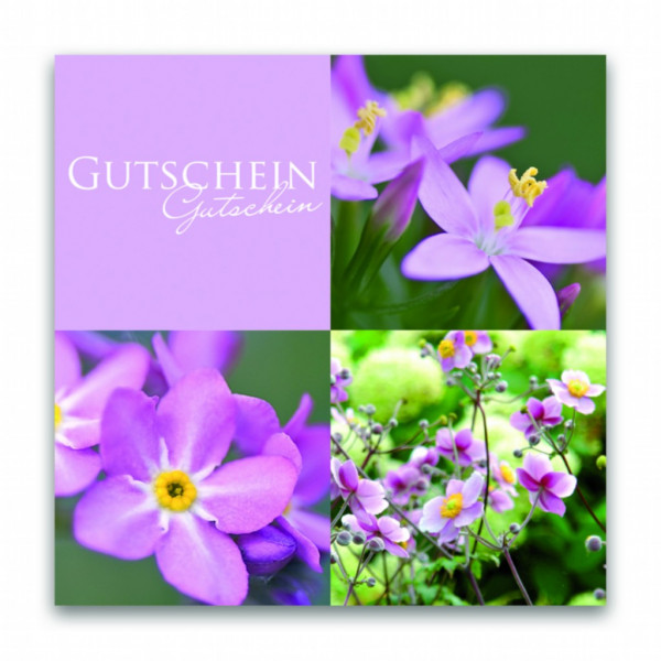 Gutscheine Purple &amp; Yellow VE 12 St