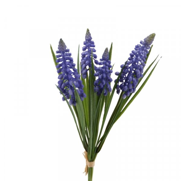 Muscari-Bund 27 cm