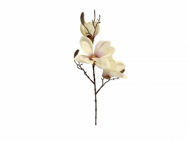 Magnolienzweig 42 cm