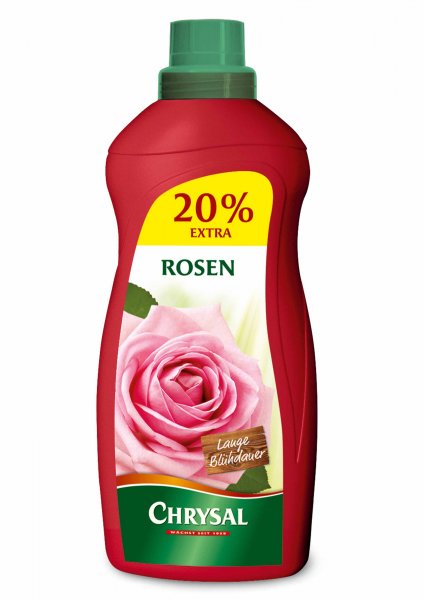 Chrysal Rosen 1000 ml 20 % Extra