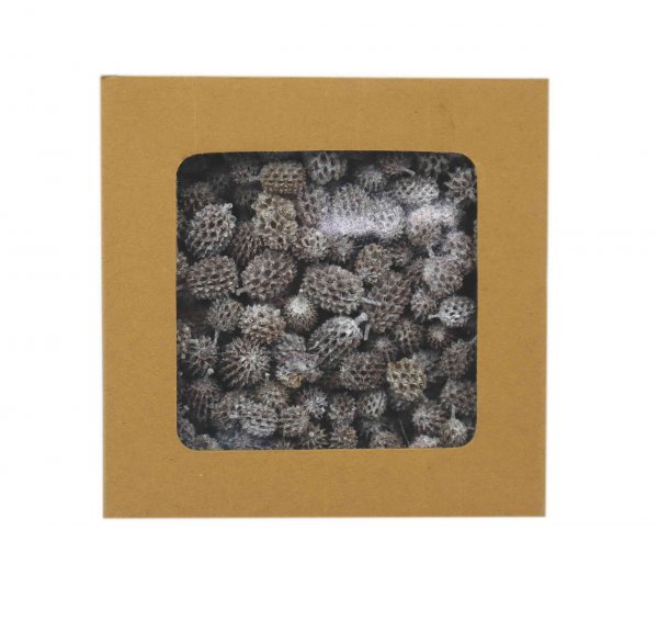 Casurina Pods 250 g