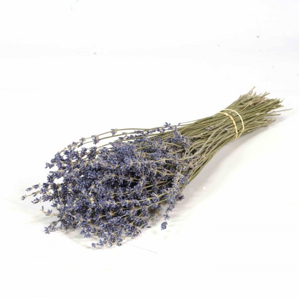 Lavendel Bund ca. 55 cm