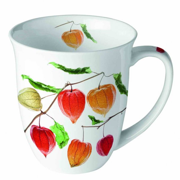 Tasse Lampionblume 400 ml