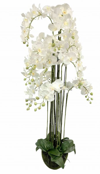 Phaleanopsis Real Touch getopft 106 cm