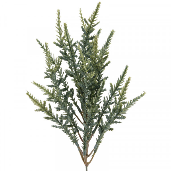 Thuja-Pick 29 cm