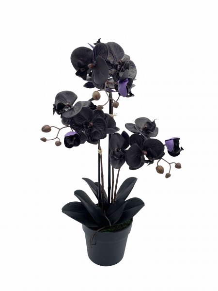 Phaleanopsis Real Touch getopft 56 cm