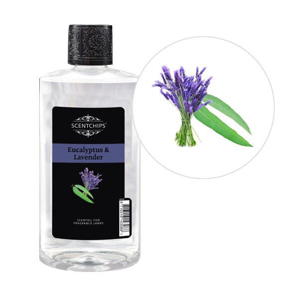 Scentchips® Duftöl Eucalyptus &amp; Lavender 475 ml