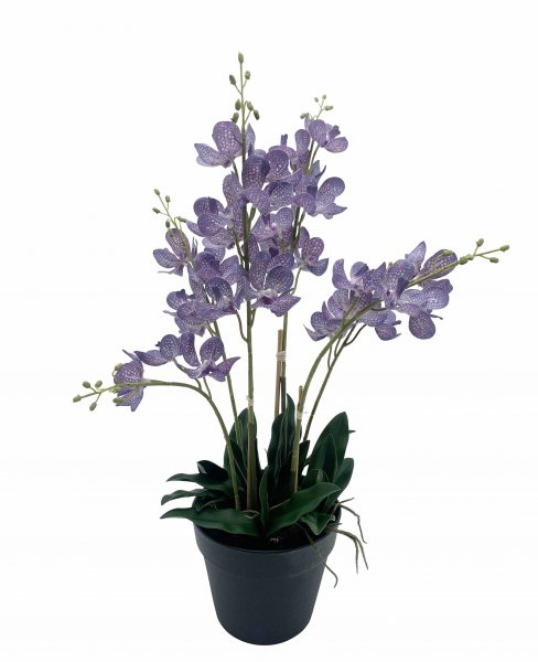 Vanda getopft 61 cm