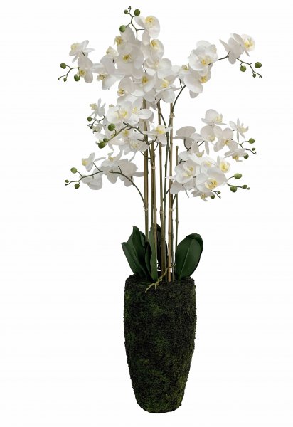 Phaleanopsis Real Touch getopft 67 cm