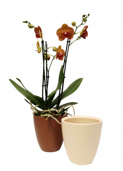 Orchideentopf Ø 17,5 cm VE 3 St