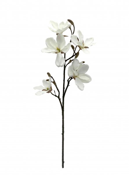 Magnolie 75 cm