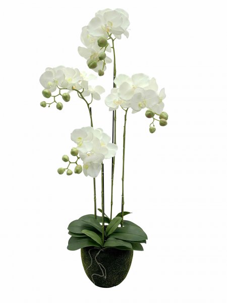 Phaleanopsis Real Touch getopft 60 cm