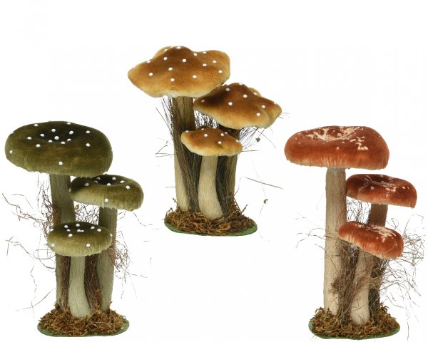 Pilz 3 Modelle 26 cm