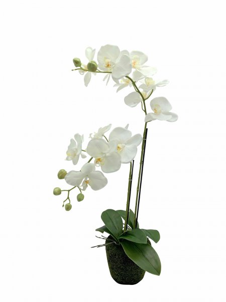 Phaleanopsis Real Touch getopft 152 cm