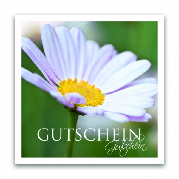 Gutscheine Daisy VE 12 St