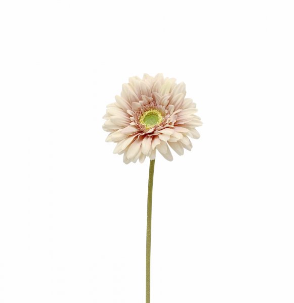 Gerbera 47 cm