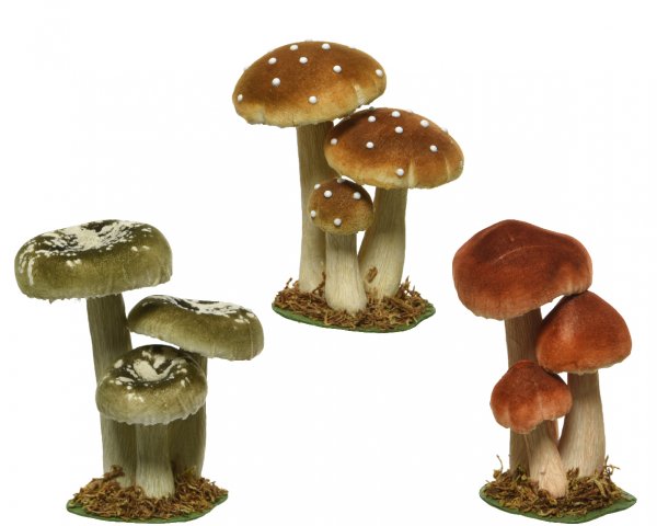 Pilz 3 Modelle 17 cm