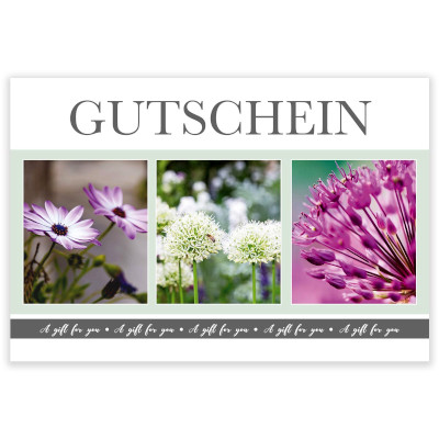 Gutscheine Purple Green Inflore VE 12 St