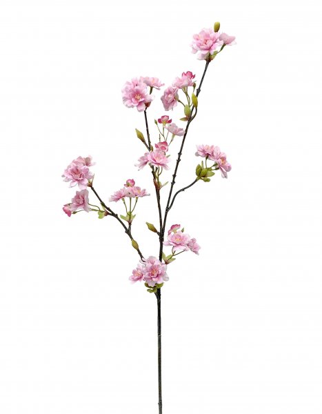 Kirschblüte 93 cm